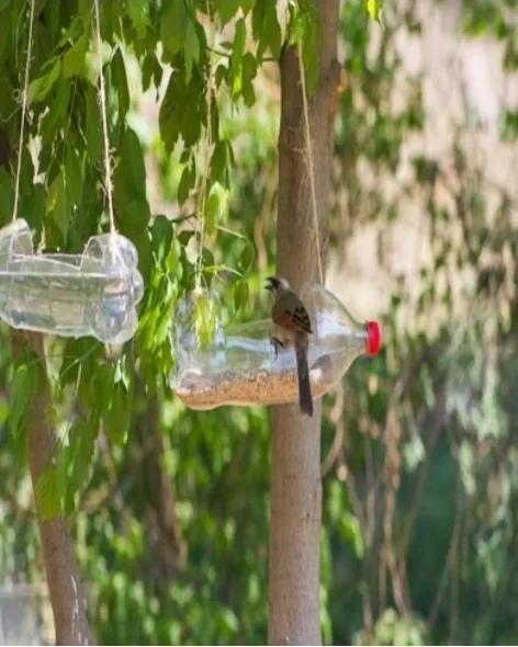 Original Waste to Life bird-feeder campaign image showing a reused plastic bottle hanging from a branch