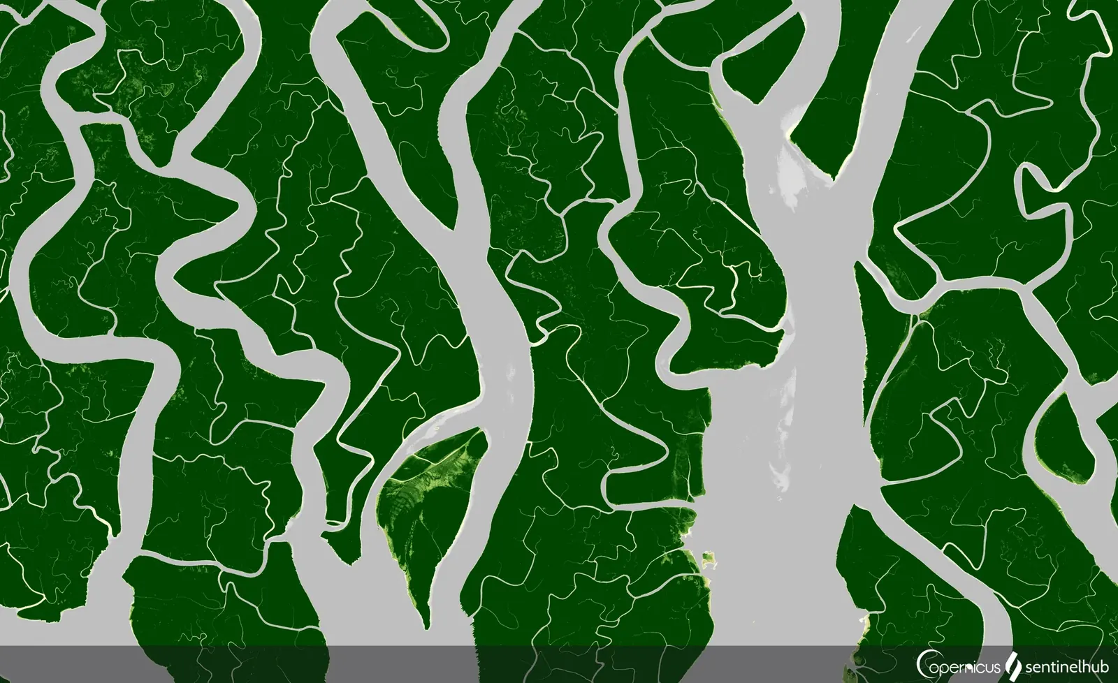 Sentinel-2 satellite view of branching waterways through the Sundarbans mangrove forest